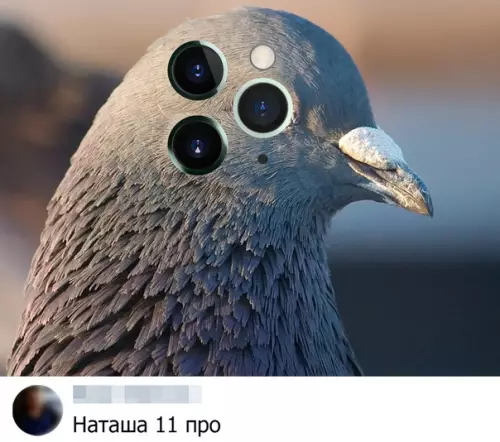 Смешная картинка №391325