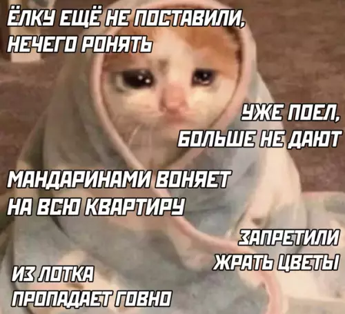 Смешная картинка №544341