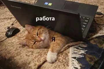 Смешная картинка №809774 Работа