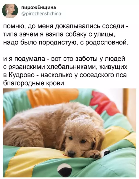 Смешная картинка №510399 Всё правильно сказано