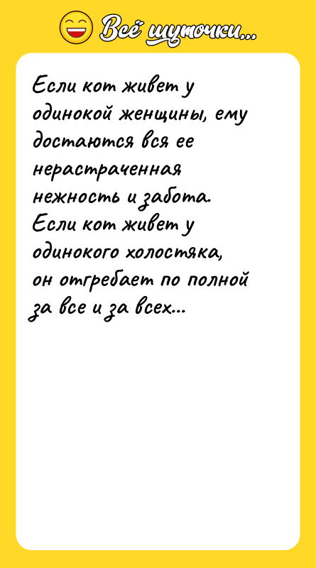 Если кот живет у одинокой женщины, ему достаются вся ее