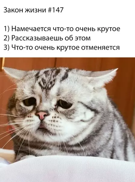 Смешная картинка №295162