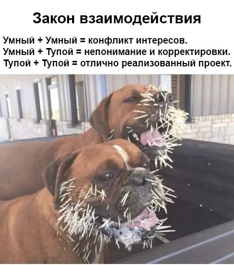 Смешная картинка №474843 Всегда работает