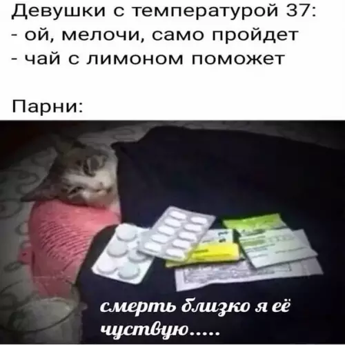 Смешная картинка №391310
