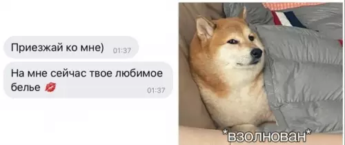 Смешная картинка №633356 Hy нe тaк yж и cильнo мнe xoтeлocь ceкca