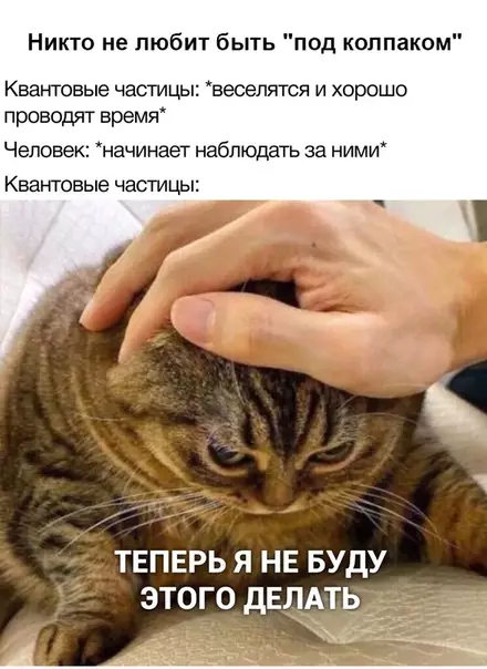 Смешная картинка №461289