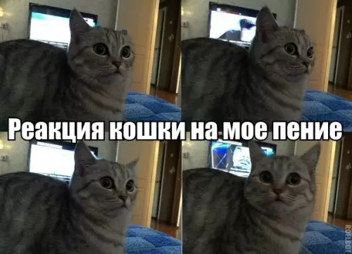 Смешная картинка №268675