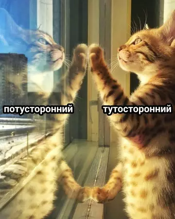 Смешная картинка №746300