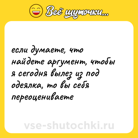 Шутка: если думаете, что найдете аргумент, чтобы я сегодня вылез из под одеялка, то вы себя переоцениваете