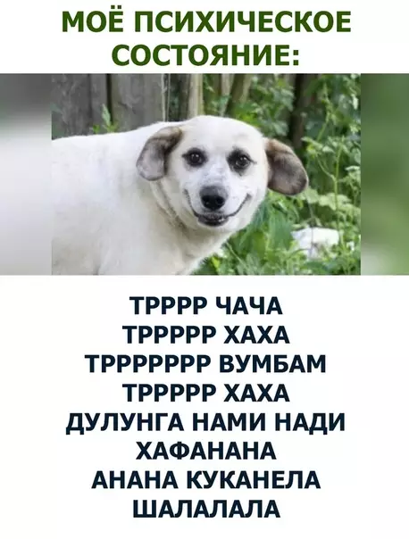 Смешная картинка №283060
