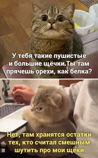 Смешная картинка №656904 Земля ему пyxoм...
