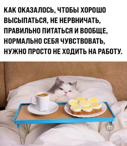 Смешная картинка №548652 Как все просто, оказывается!