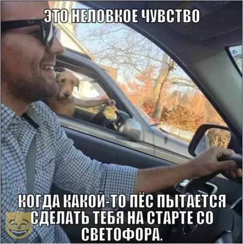 Смешная картинка №386878 #приколы #картинки #мемы ?