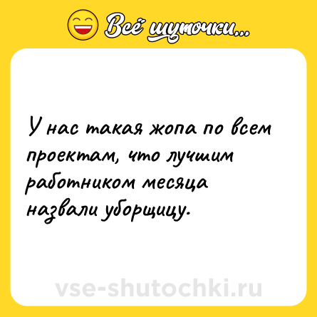 Шутка: У нас такая жопа по всем проектам, что лучшим работником месяца назвали уборщицу.