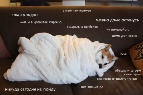 Смешная картинка №194561 Безудержный субботний кутеж.