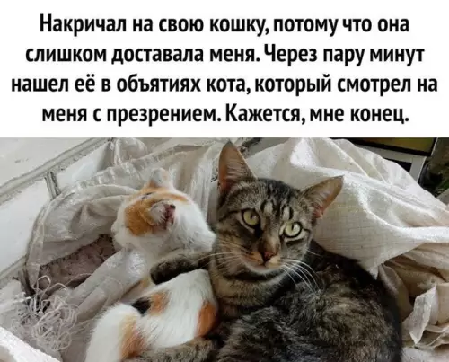 Смешная картинка №506649 Так и живем..