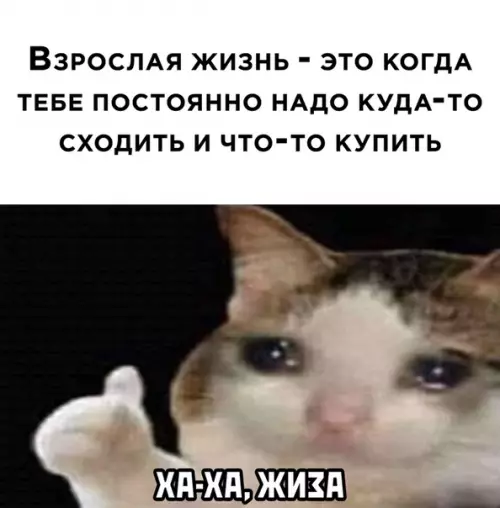 Смешная картинка №515567