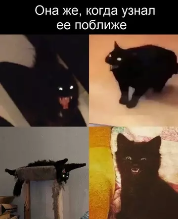 продолжение Смешная картинка №755596
