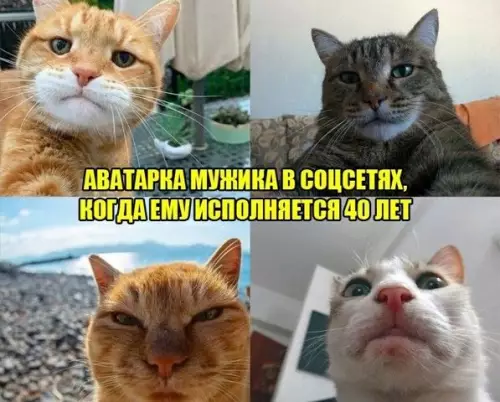 Смешная картинка №396358
