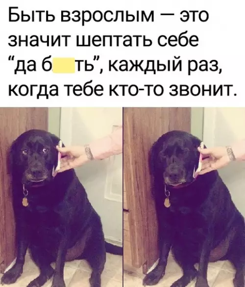 Смешная картинка №568224 Жизa