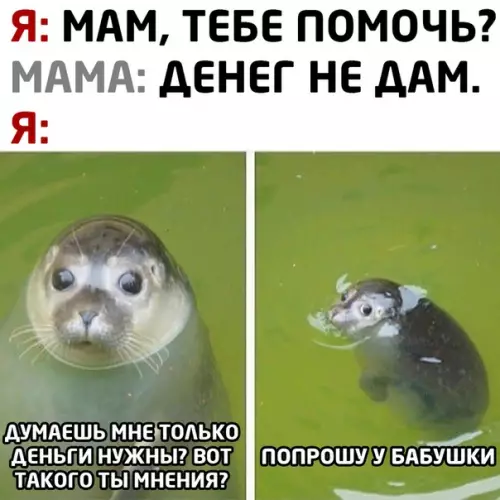 Смешная картинка №509855