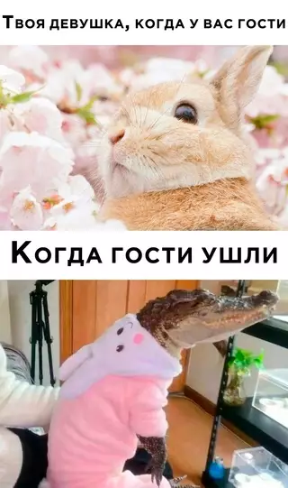 Смешная картинка №678565