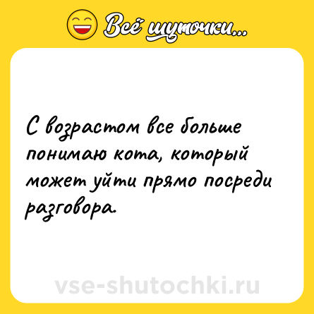 Шутка: С возрастом все больше понимаю кота, который может уйти прямо посреди разговора.