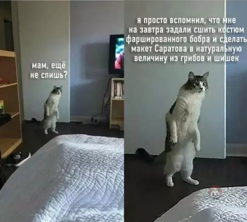 Смешная картинка №612294 У каждого родителя хоть раз да было ?