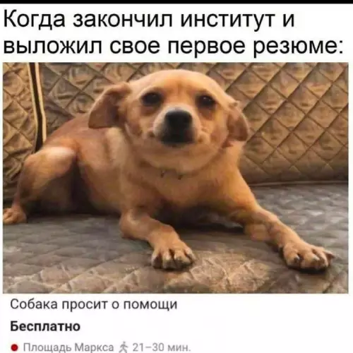Смешная картинка №748819