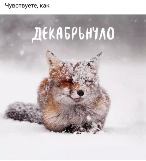 Смешная картинка №226729