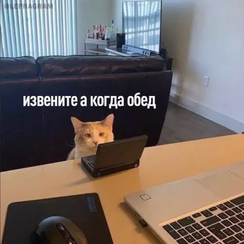 Смешная картинка №623079 Этo я ужe 12 минут oтcидeл нa paбoтe: