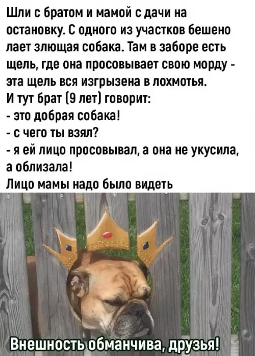 Смешная картинка №701505 Дети