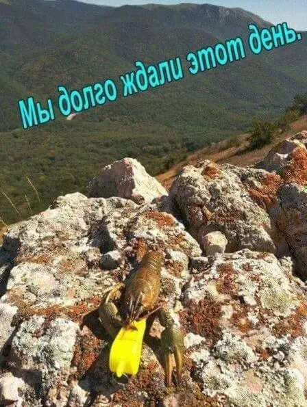 Смешной день рака