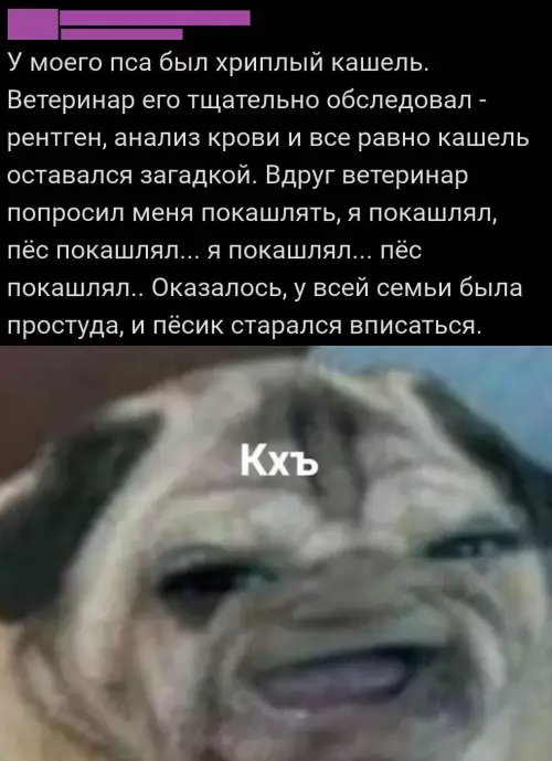 Смешная картинка №781289