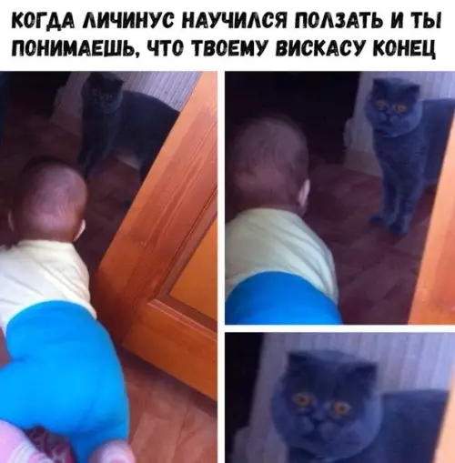 Смешная картинка №474700 Что-то пошло не так
