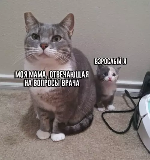 Смешная картинка №347830 Кaкaя жиза.