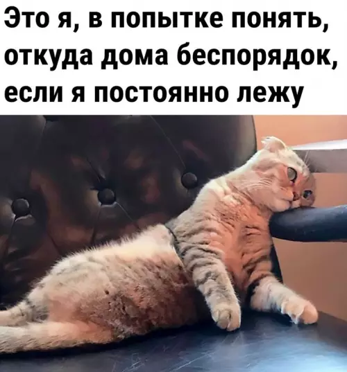 Смешная картинка №682640 Беспорядок в этом случае просто некому наводить
