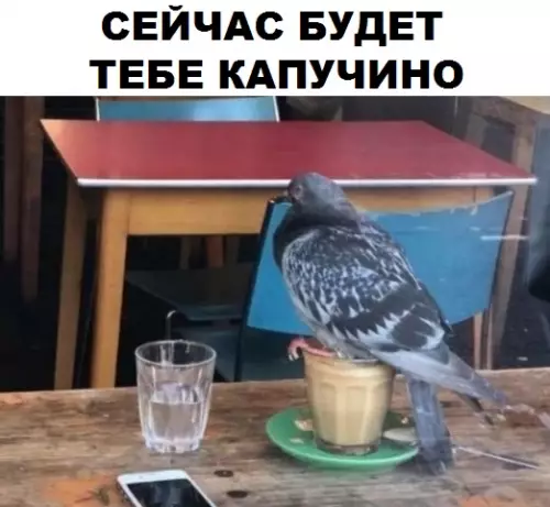Смешная картинка №311678