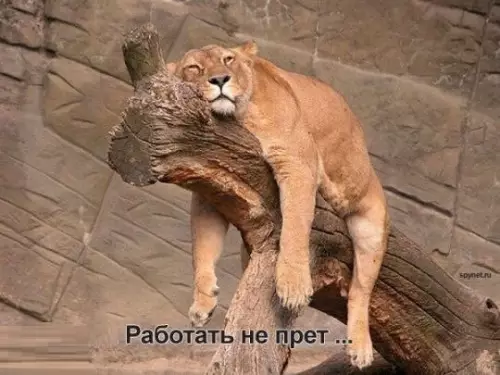 Смешная картинка №238634