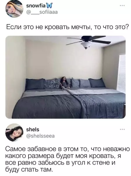 Смешная картинка №545930 Meчтa