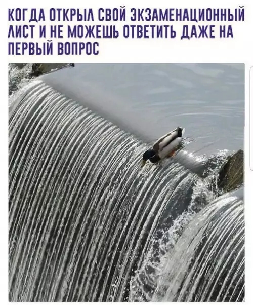 Смешная картинка №268930
