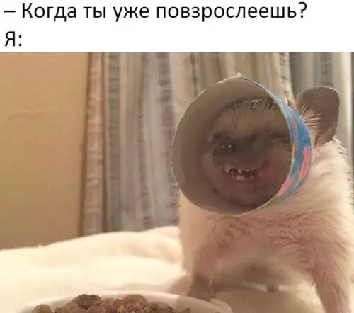 Смешная картинка №180389