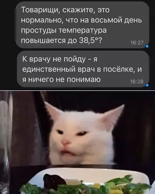 Смешная картинка №672534