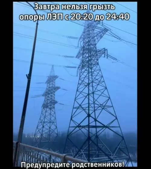 Срочные новости для любителей погрызть ⚡️😋 - Завтра нельзя грызть опоры ЛЭП с 20:20 до 24:40. Предупредите