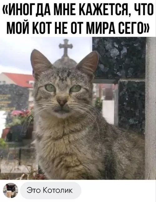 Смешная картинка №687074 Доктор мем