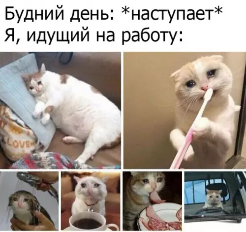 Смешная картинка №386543