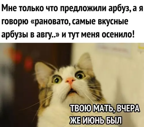Смешная картинка №293442 Время, пожалуйста, помедленнее