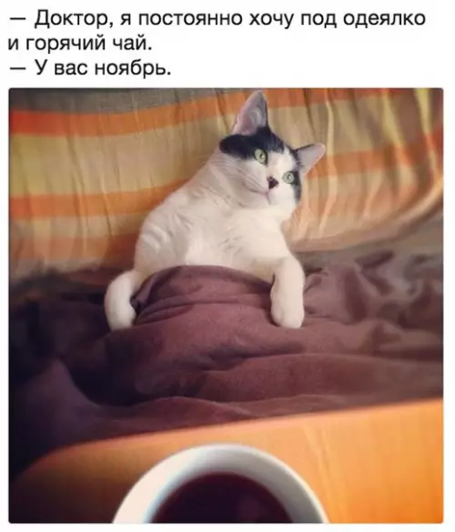 Смешная картинка №221833