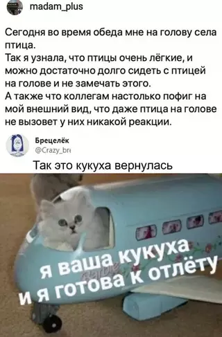 Смешная картинка №697684