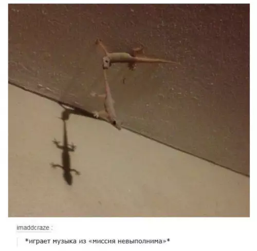 Смешная картинка №297603